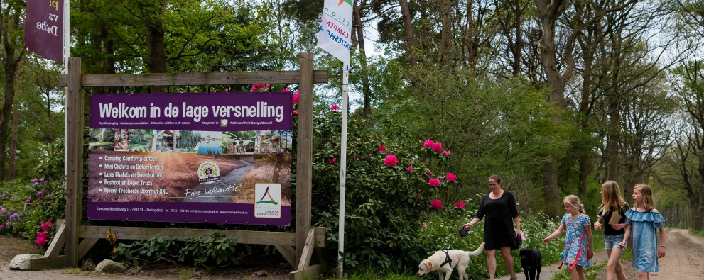 Torentjeshoek Honden-21.jpg