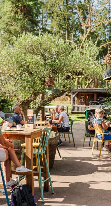 Brasserie Torentjeshoek-terras zomer.jpg