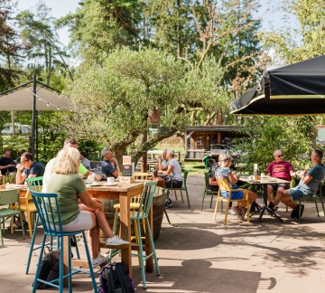 Brasserie Torentjeshoek-terras zomer.jpg