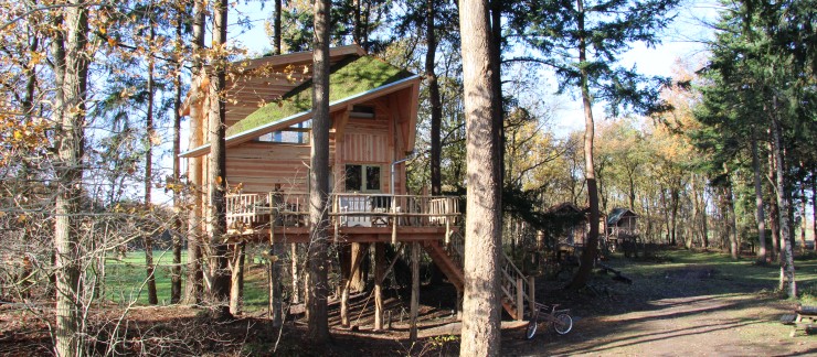 Treehouse (Boomhut XXL) (25).JPG