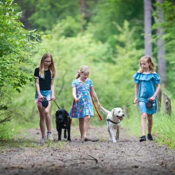 Torentjeshoek Honden-7.jpg