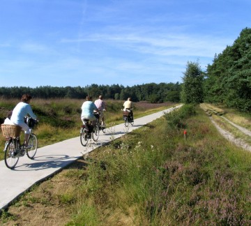 Dwingelderveld (5).jpg