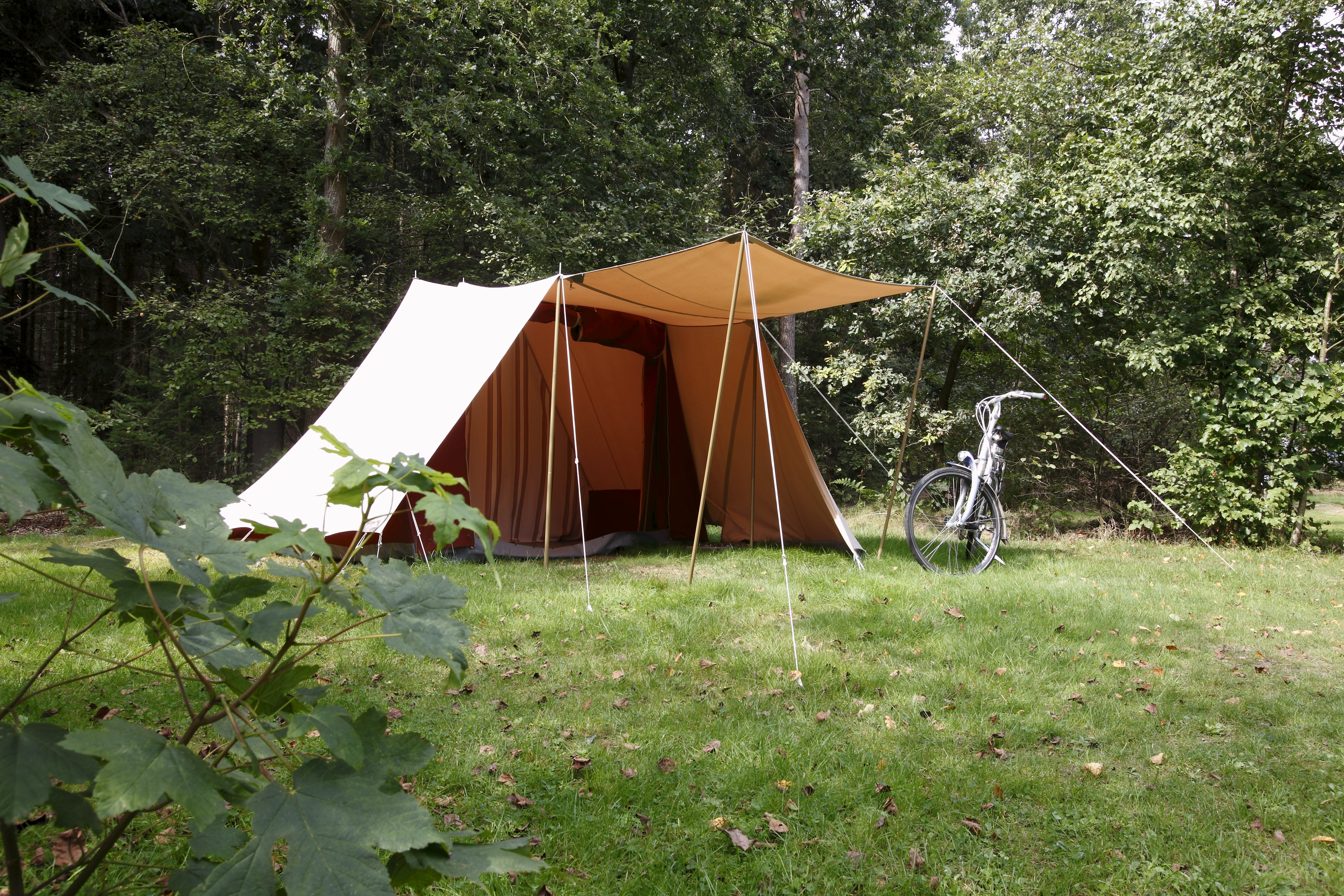 Dutch on sale pyramid tent