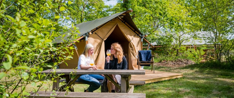 Mini Cabin (7).jpg