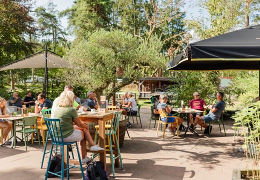 Brasserie Torentjeshoek-terras zomer.jpg