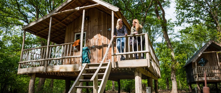 Torentjeshoek 2020 Boomhut type 2 - veld 30