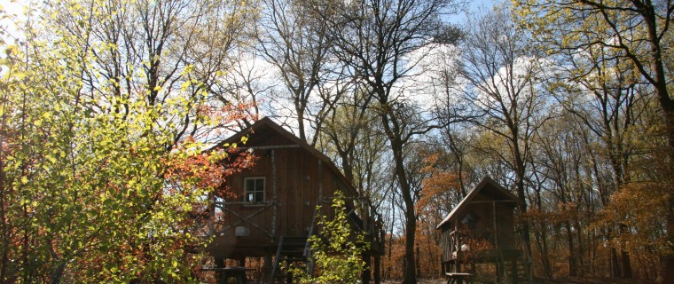 Boomhutten sfeerbeeld (3).JPG